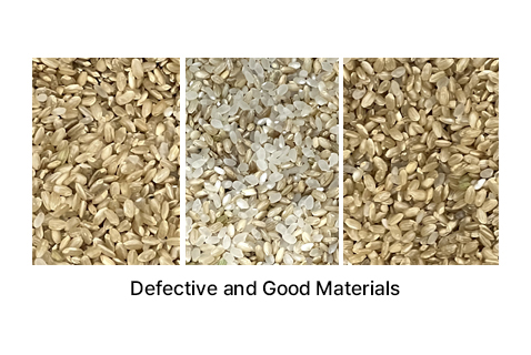 Brown Rice Sample Sorting